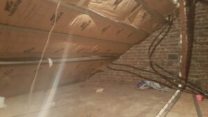 101593013_1549928425173258_6549299151820029952_n